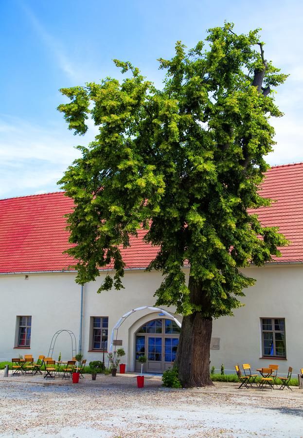 Отель Pałac Wiechlice Szprotawa-37